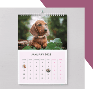 Photobubble Calendar
