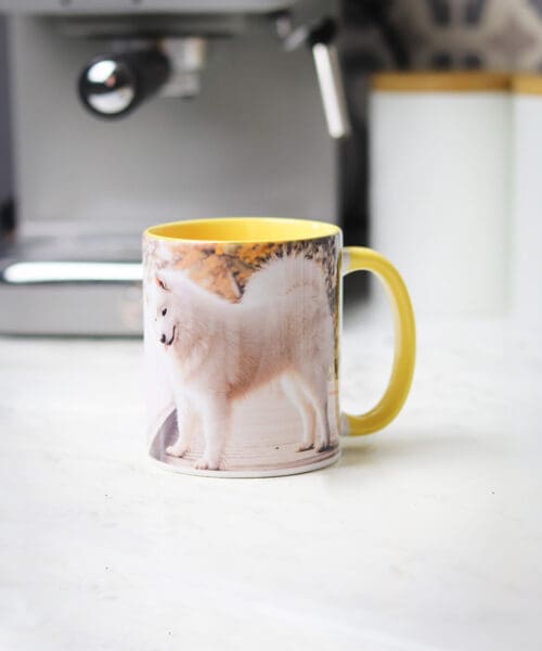 Custom Mugs with Choice of 6 Colours Custom Mugs with Choice of 6 Colours