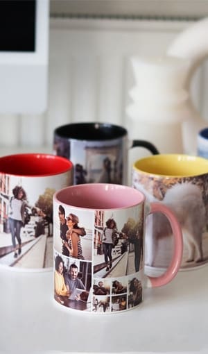 Image Column Image Column